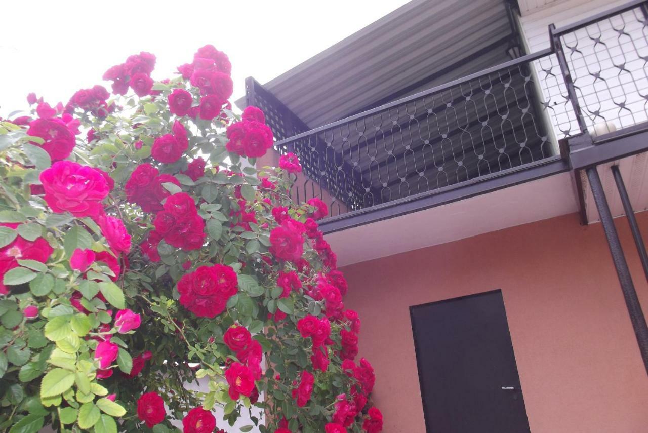 Apartament Monika Podzamcze 10 Wlodawa Ngoại thất bức ảnh